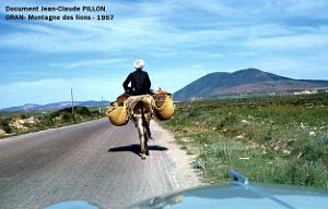 Oran - Montagne des Lions - 1957